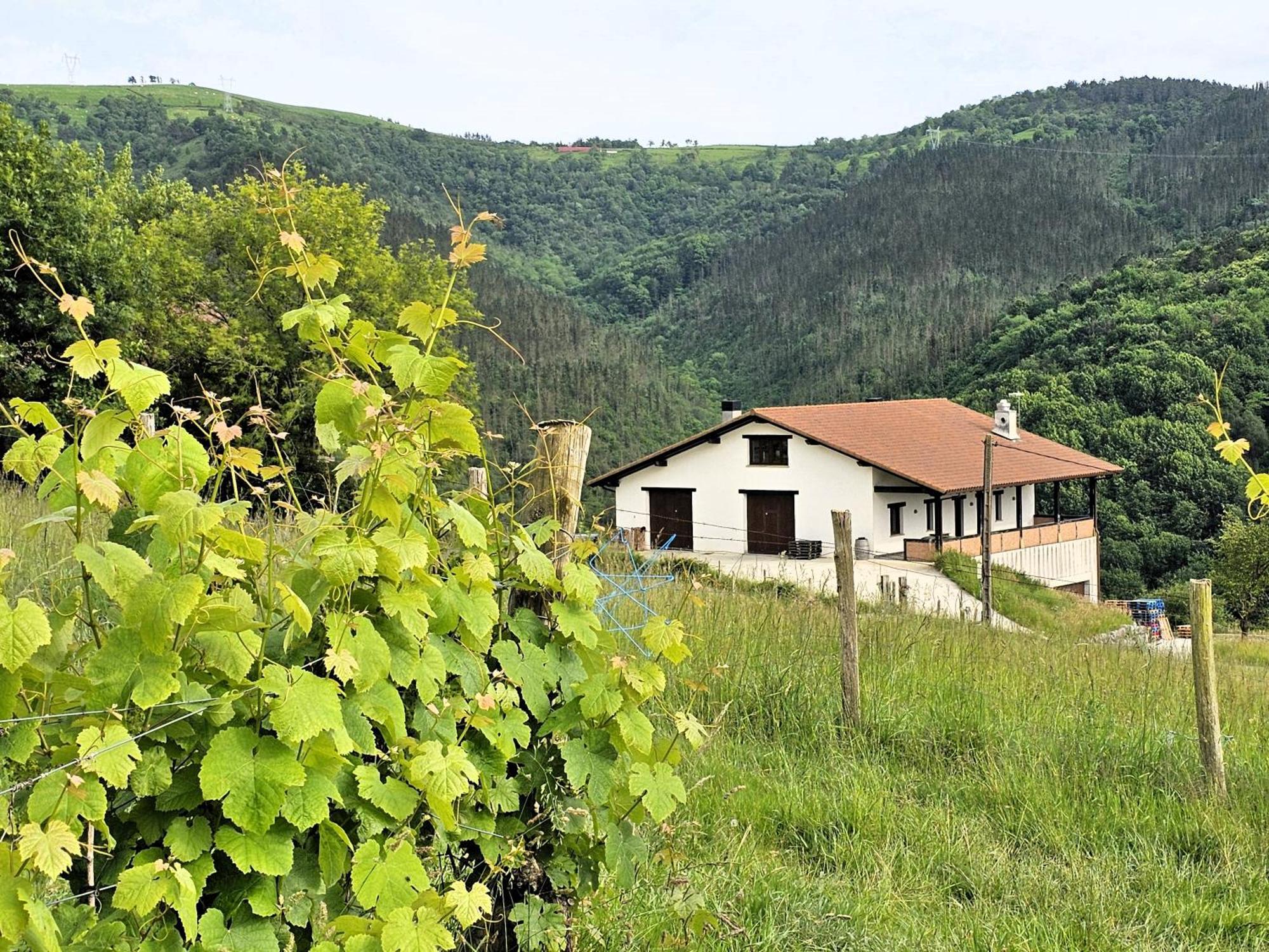 Arbela Apartamentuak Aia Zewnętrze zdjęcie